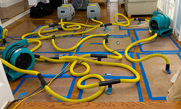 Professional Water Damage Restoration technician working in Elkhorn, CA